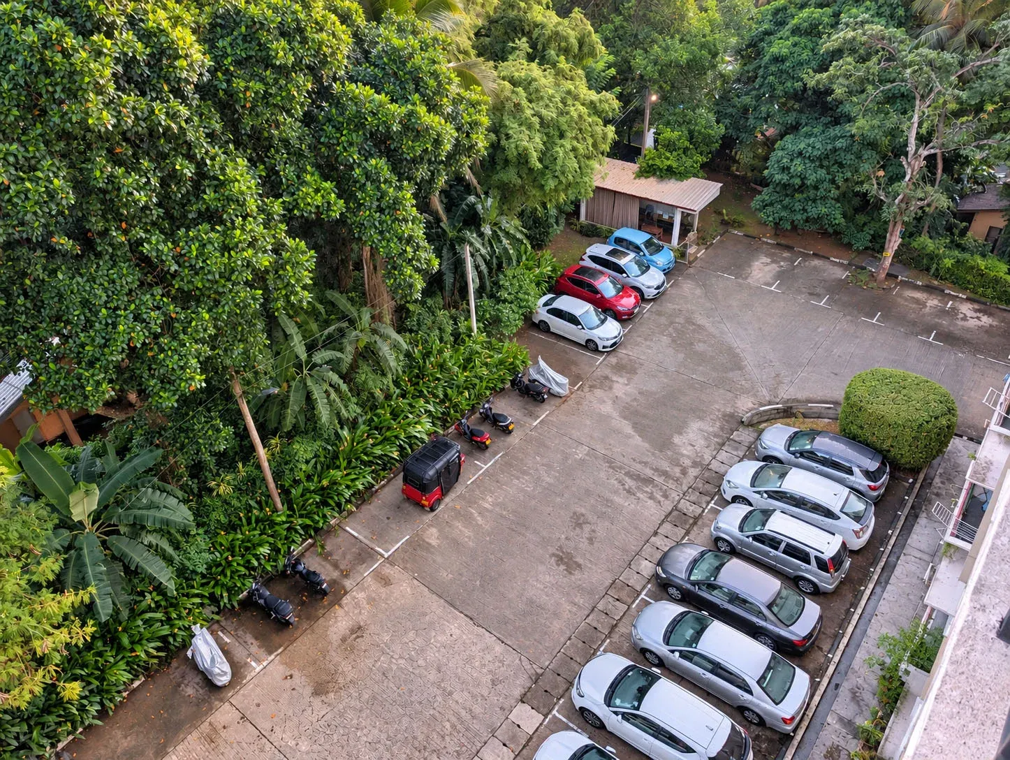 Shared on-site parking with marked bays and tropical planting, seen from the building